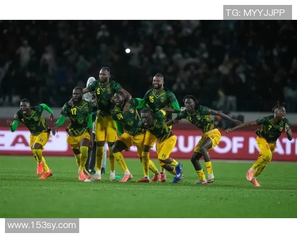 非洲杯激战尼日利亚与喀麦隆的精彩对决深度分析与战术解读